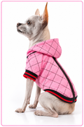 Dog Jacket