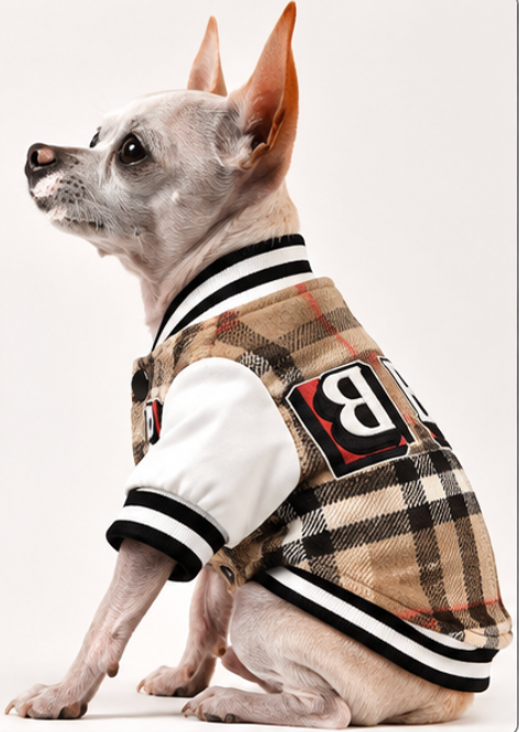 Dog Coat – Plaid Varsity Jacket