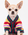 Dog Coat – Colorful Knit Sweater
