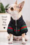 Dog Jacket Description