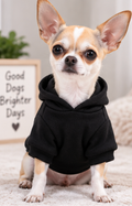 Cozy Teddy Bear Dog Hoodie