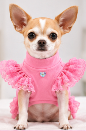 Product Description – Dog Lace Ruffle Dress