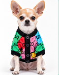 Colorful Designer-Style Dog Sweater