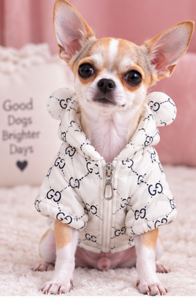 Adorable White Teddy Bear Dog Hoodie