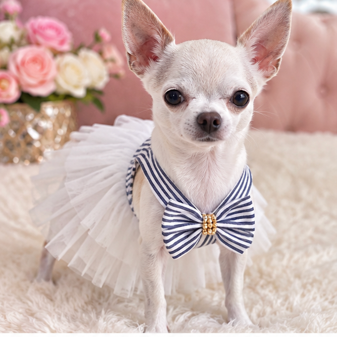 BCF Blue & White Princess Dog Dress