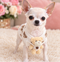 BCF Teddy Bear Quilted Dog Vest
