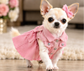 BCF Pink Denim Dog Dress