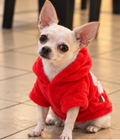 Santa Claus Fleece Dog Hoodie – Cozy Christmas Style