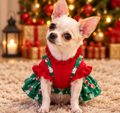 Christmas Candy Cane Dog Dress – Festive Holiday Outfit 🍭🐾