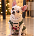 🐻 Christmas Teddy Bear Knitted Dog Sweater – Cozy Winter Style 🎄🐾