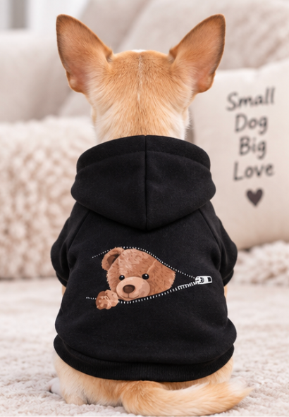 Cozy Teddy Bear Dog Hoodie