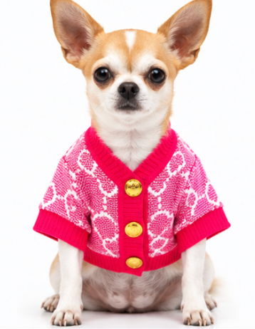 Colorful Knit Dog Cardigan