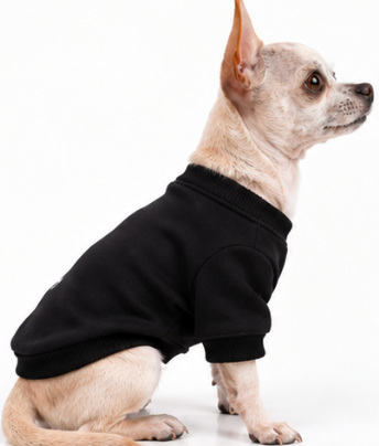 Product Description – Stylish Black Dog Sweatshirt
