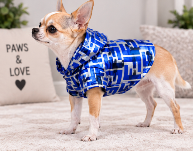Dog Coat – Silver Hooded Rain Jacket
