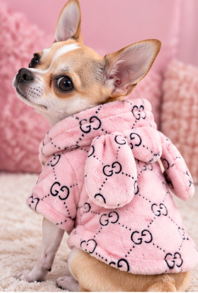 Adorable White Teddy Bear Dog Hoodie