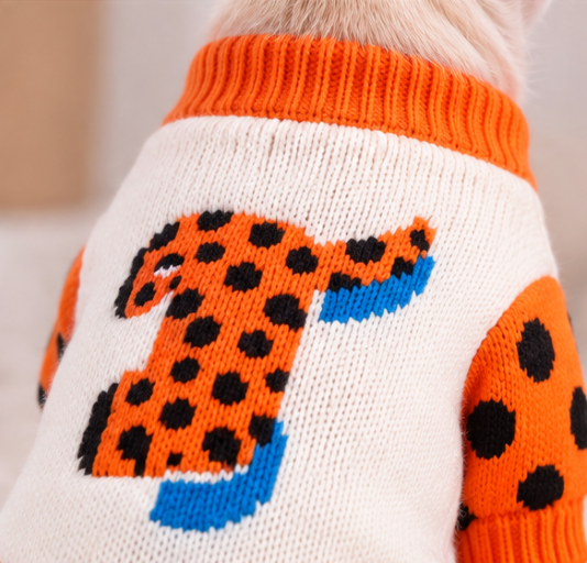 Orange & White Knit Dog Sweater – Fun Colorful Dog Clothing for Fall