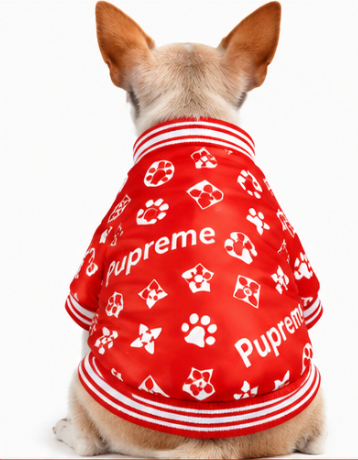 Designer Red Dog Jacket – Paw Print Luxury Streetwear for Dogs