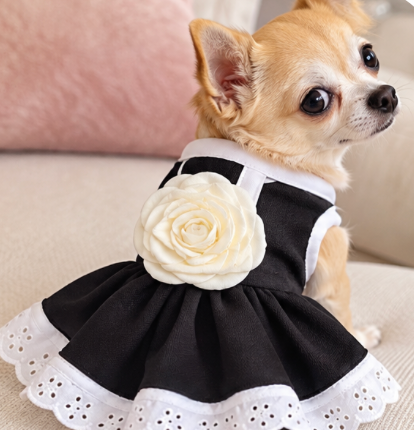 BCF Elegant Black Dog Dress