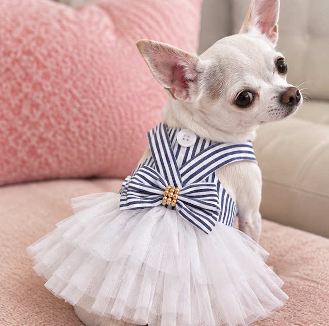 BCF Blue & White Princess Dog Dress