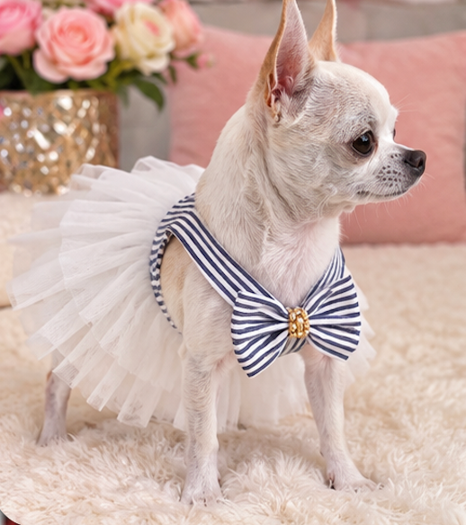 BCF Blue & White Princess Dog Dress