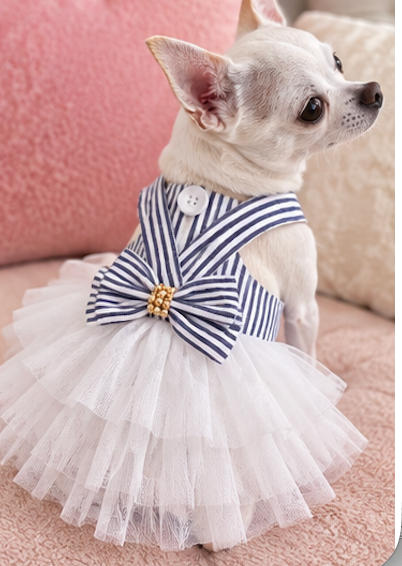BCF Blue & White Princess Dog Dress