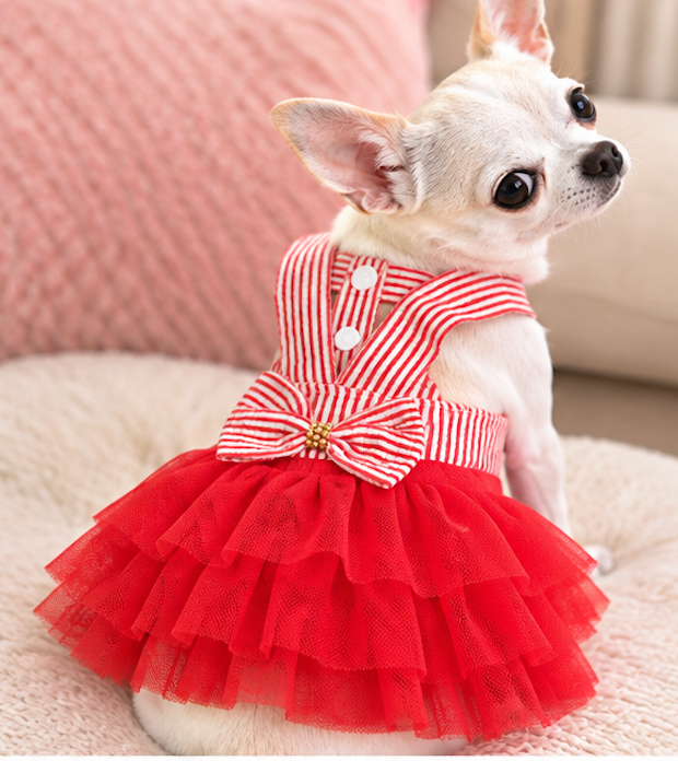 BCF Blue & White Princess Dog Dress