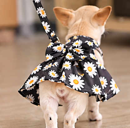 BCF Daisy Dream Dog Dress
