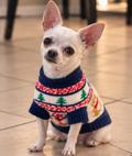 Christmas Teddy Bear Knitted Dog Sweater 🧸🐾