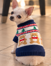 Christmas Teddy Bear Knitted Dog Sweater 🧸🐾