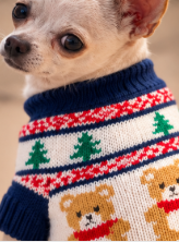 Christmas Teddy Bear Knitted Dog Sweater 🧸🐾