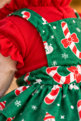 Christmas Candy Cane Dog Dress – Festive Holiday Outfit 🍭🐾
