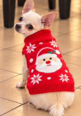 Santa Claus Knitted Dog Sweater – Christmas Edition 🎄🐾