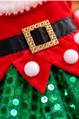 Santa Claus Dog Dress – Sparkling Christmas Party Outfit 🎄🐾
